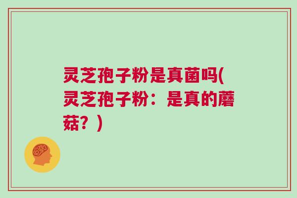 灵芝孢子粉是真菌吗(灵芝孢子粉：是真的蘑菇？)