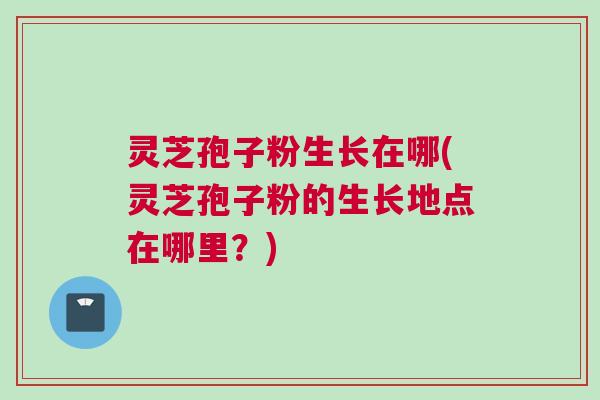 灵芝孢子粉生长在哪(灵芝孢子粉的生长地点在哪里?) 灵芝孢子粉生长在哪(灵芝孢子粉的生长地点在哪里?)