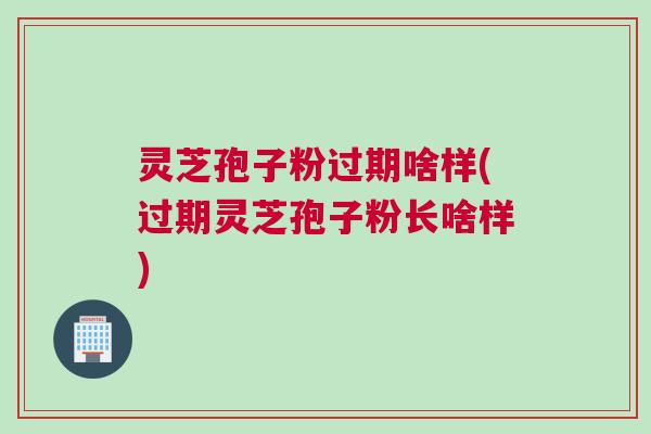 灵芝孢子粉过期啥样(过期灵芝孢子粉长啥样)