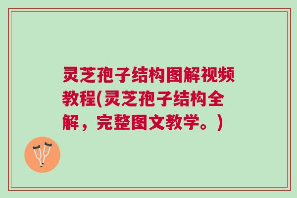 灵芝孢子结构图解视频教程(灵芝孢子结构全解，完整图文教学。)