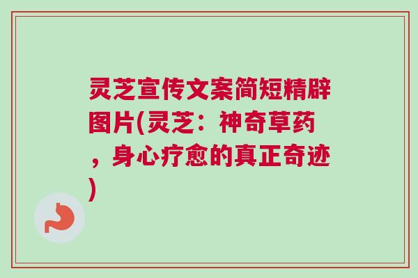 灵芝宣传文案简短精辟图片(灵芝:神奇草药,身心疗愈的真正奇迹) 灵芝宣传文案简短精辟图片(灵芝:神奇草药,身心疗愈的真正奇迹)