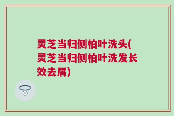 灵芝当归侧柏叶洗头(灵芝当归侧柏叶洗发长效去屑)