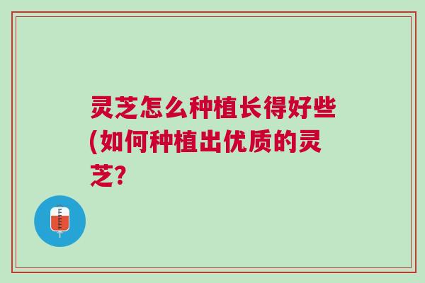 灵芝怎么种植长得好些(如何种植出优质的灵芝？