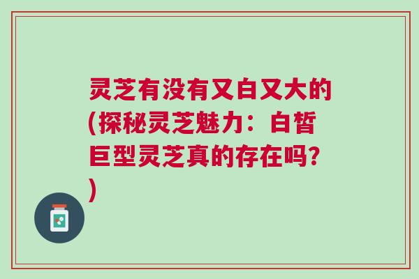 灵芝有没有又白又大的(探秘灵芝魅力：白皙巨型灵芝真的存在吗？)
