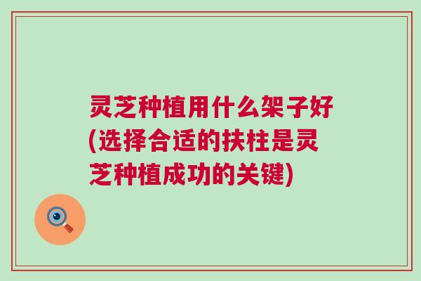 灵芝种植用什么架子好(选择合适的扶柱是灵芝种植成功的关键) 灵芝种植用什么架子好(选择合适的扶柱是灵芝种植成功的关键)