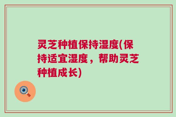 灵芝种植保持湿度(保持适宜湿度,帮助灵芝种植成长) 灵芝种植保持湿度(保持适宜湿度,帮助灵芝种植成长)