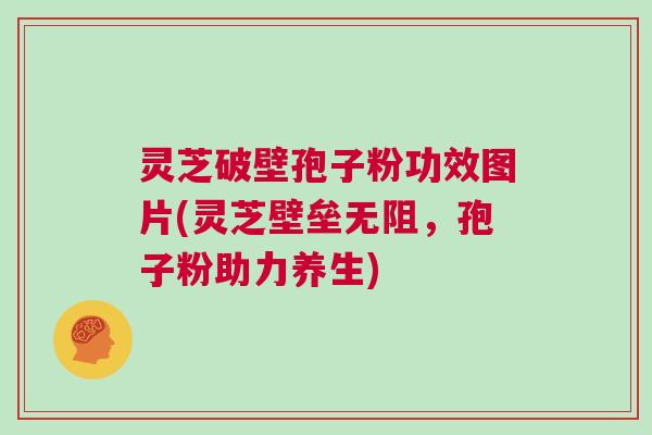 灵芝破壁孢子粉功效图片(灵芝壁垒无阻，孢子粉助力养生)
