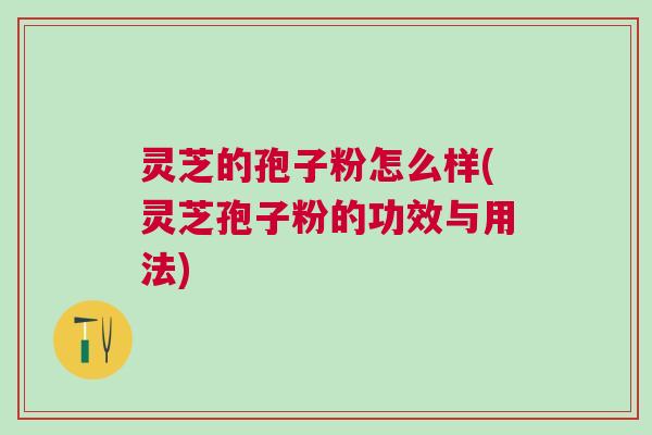 灵芝的孢子粉怎么样(灵芝孢子粉的功效与用法)
