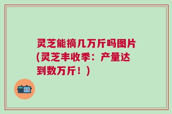 灵芝能摘几万斤吗图片(灵芝丰收季：产量达到数万斤！)