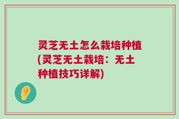 灵芝无土怎么栽培种植(灵芝无土栽培：无土种植技巧详解)