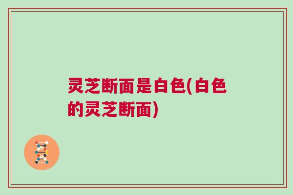 灵芝断面是白色(白色的灵芝断面) 灵芝断面是白色(白色的灵芝断面)