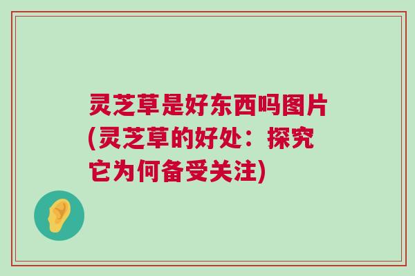 灵芝草是好东西吗图片(灵芝草的好处：探究它为何备受关注)