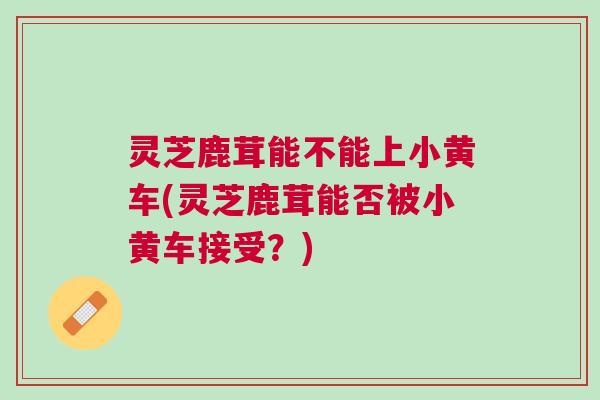 灵芝鹿茸能不能上小黄车(灵芝鹿茸能否被小黄车接受？)