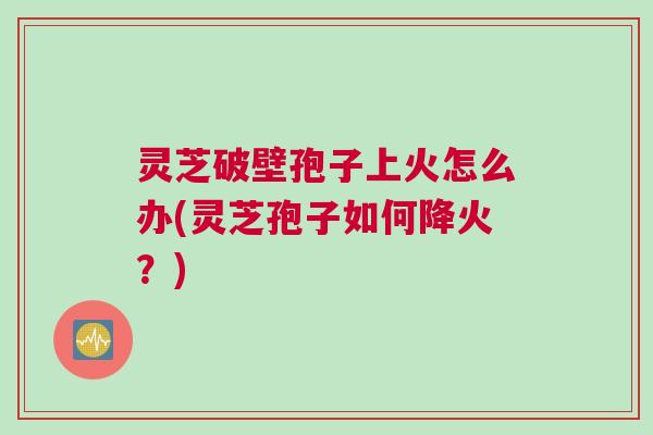 灵芝破壁孢子上火怎么办(灵芝孢子如何降火？)