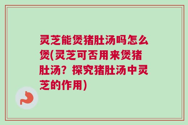 灵芝能煲猪肚汤吗怎么煲(灵芝可否用来煲猪肚汤？探究猪肚汤中灵芝的作用)