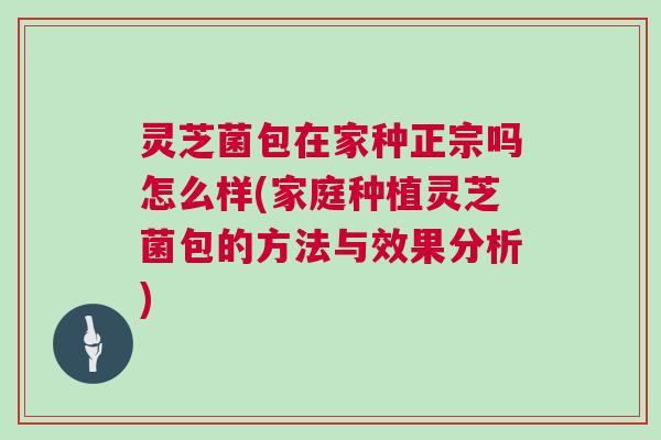 灵芝菌包在家种正宗吗怎么样(家庭种植灵芝菌包的方法与效果分析)
