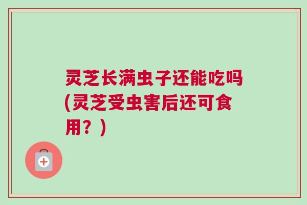 灵芝长满虫子还能吃吗(灵芝受虫害后还可食用?) 灵芝长满虫子还能吃吗(灵芝受虫害后还可食用?)