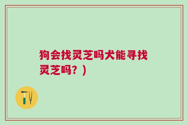 狗会找灵芝吗犬能寻找灵芝吗？)