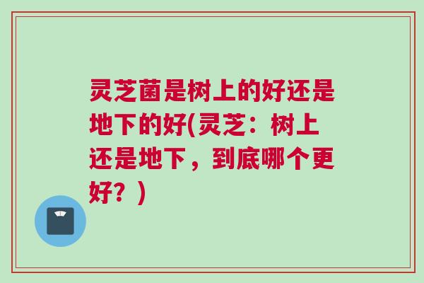 灵芝菌是树上的好还是地下的好(灵芝:树上还是地下,到底哪个更好?) 灵芝菌是树上的好还是地下的好(灵芝:树上还是地下,到底哪个更好?)