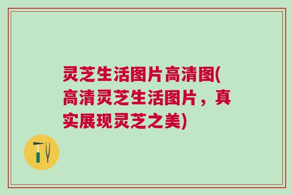 灵芝生活图片高清图(高清灵芝生活图片，真实展现灵芝之美)