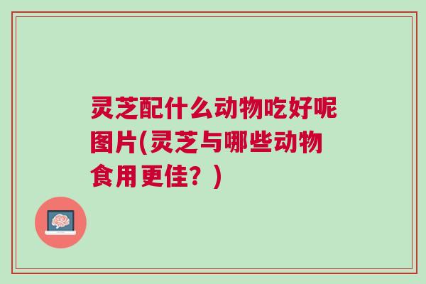 灵芝配什么动物吃好呢图片(灵芝与哪些动物食用更佳？)
