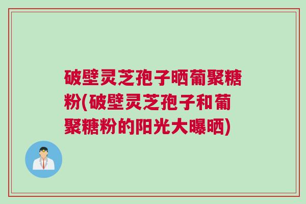 破壁灵芝孢子晒葡聚糖粉(破壁灵芝孢子和葡聚糖粉的阳光大曝晒)