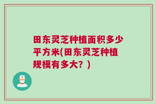 田东灵芝种植面积多少平方米(田东灵芝种植规模有多大？)