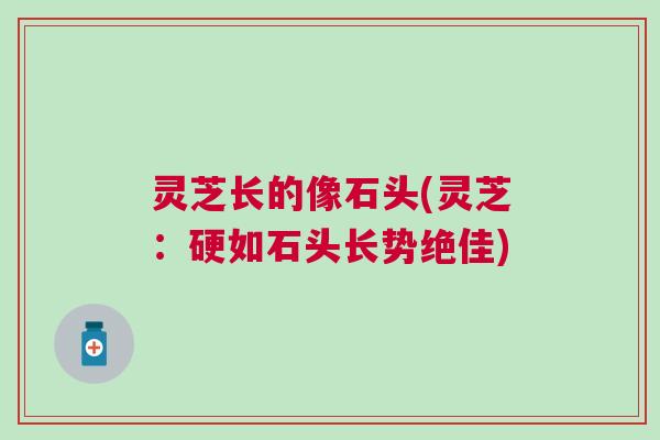 灵芝长的像石头(灵芝：硬如石头长势绝佳)