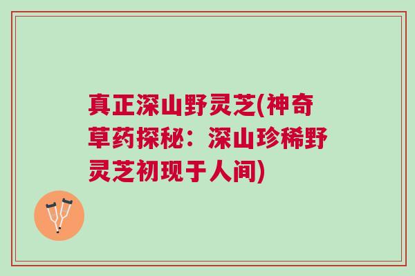 真正深山野灵芝(神奇草药探秘：深山珍稀野灵芝初现于人间)