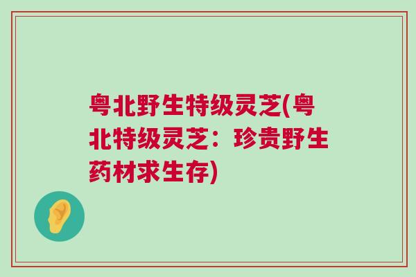 粤北野生特级灵芝(粤北特级灵芝：珍贵野生药材求生存)
