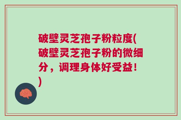破壁灵芝孢子粉粒度(破壁灵芝孢子粉的微细分，调理身体好受益！)