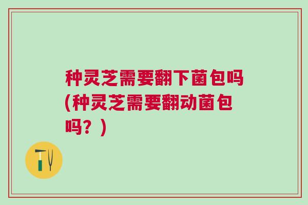 种灵芝需要翻下菌包吗(种灵芝需要翻动菌包吗?) 种灵芝需要翻下菌包吗(种灵芝需要翻动菌包吗?)