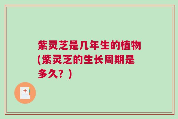 紫灵芝是几年生的植物(紫灵芝的生长周期是多久？)