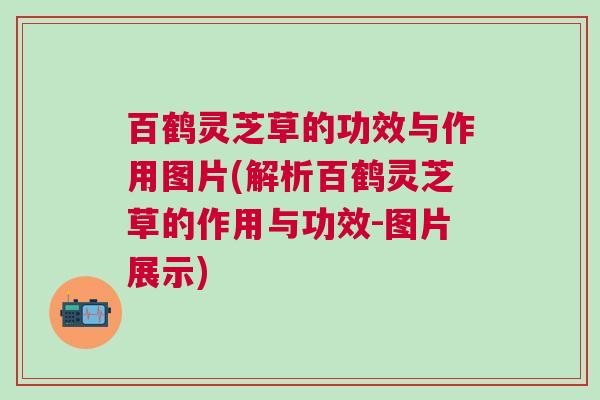 百鹤灵芝草的功效与作用图片(解析百鹤灵芝草的作用与功效-图片展示)
