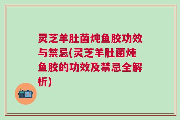 灵芝羊肚菌炖鱼胶功效与禁忌(灵芝羊肚菌炖鱼胶的功效及禁忌全解析)