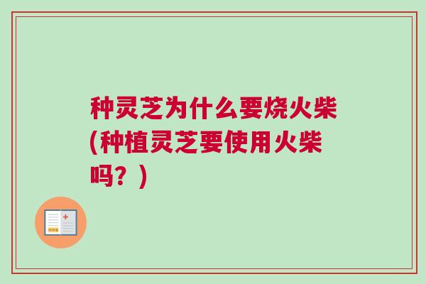 种灵芝为什么要烧火柴(种植灵芝要使用火柴吗？)