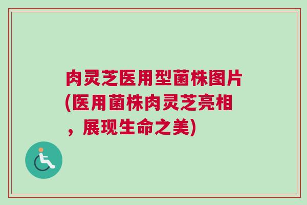 肉灵芝医用型菌株图片(医用菌株肉灵芝亮相，展现生命之美)