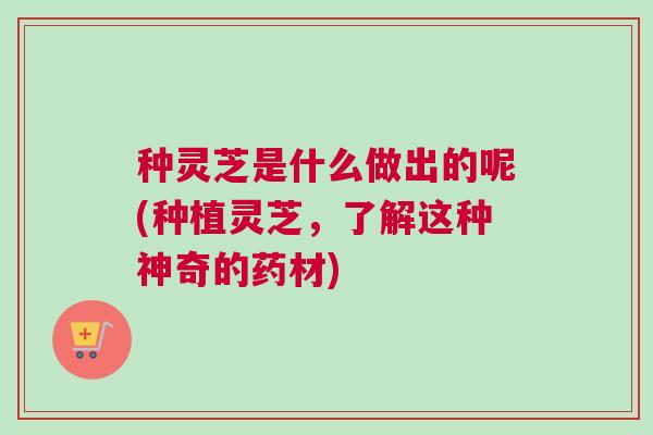 种灵芝是什么做出的呢(种植灵芝,了解这种神奇的药材) 种灵芝是什么做出的呢(种植灵芝,了解这种神奇的药材)