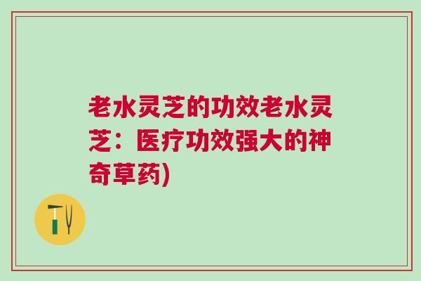 老水灵芝的功效老水灵芝:医疗功效强大的神奇草药) 老水灵芝的功效老水灵芝:医疗功效强大的神奇草药)
