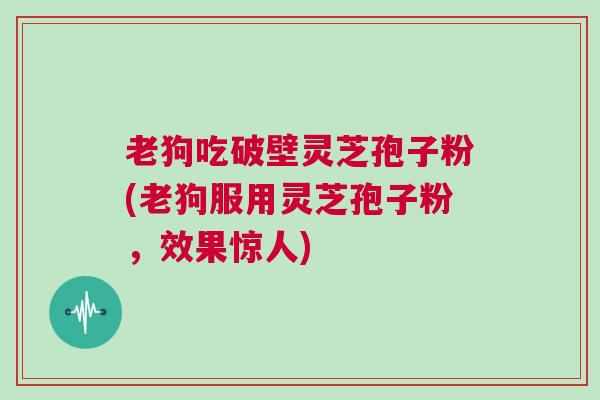 老狗吃破壁灵芝孢子粉(老狗服用灵芝孢子粉，效果惊人)