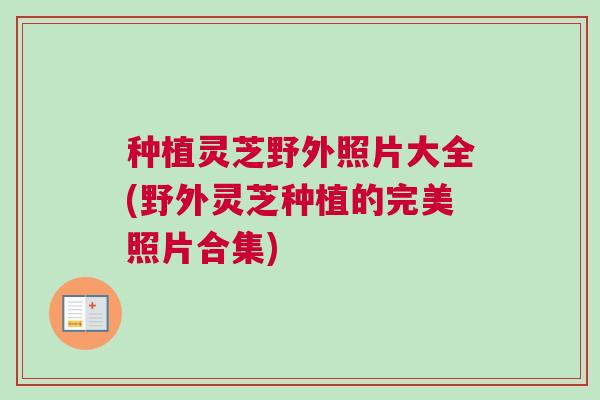 种植灵芝野外照片大全(野外灵芝种植的完美照片合集)