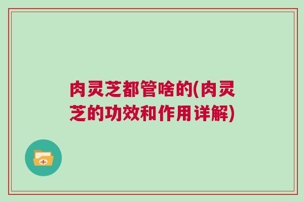 肉灵芝都管啥的(肉灵芝的功效和作用详解)