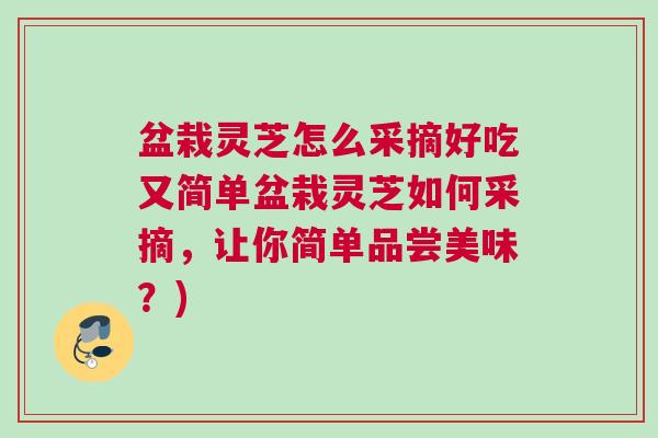 盆栽灵芝怎么采摘好吃又简单盆栽灵芝如何采摘，让你简单品尝美味？)