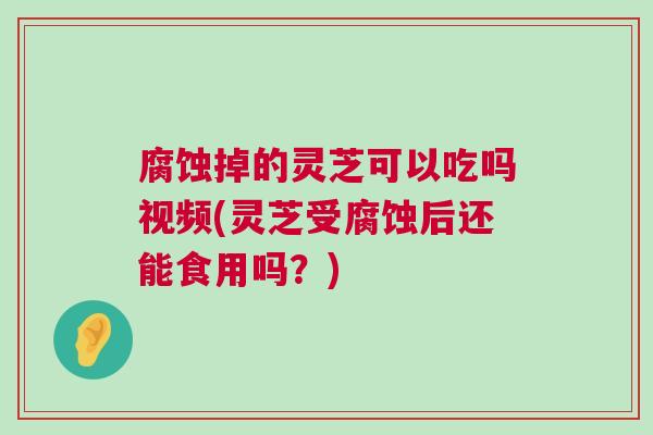 腐蚀掉的灵芝可以吃吗视频(灵芝受腐蚀后还能食用吗？)