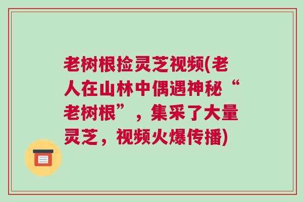 老树根捡灵芝视频(老人在山林中偶遇神秘“老树根”，集采了大量灵芝，视频火爆传播)