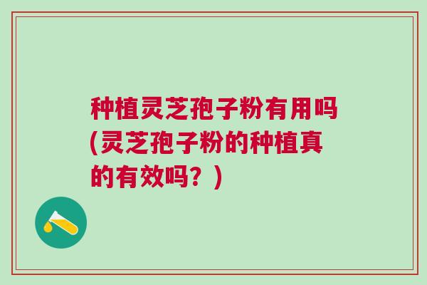 种植灵芝孢子粉有用吗(灵芝孢子粉的种植真的有效吗?) 种植灵芝孢子粉有用吗(灵芝孢子粉的种植真的有效吗?)