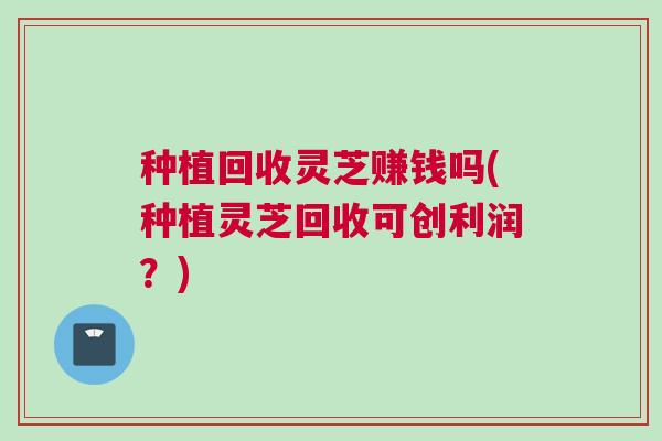 种植回收灵芝赚钱吗(种植灵芝回收可创利润？)