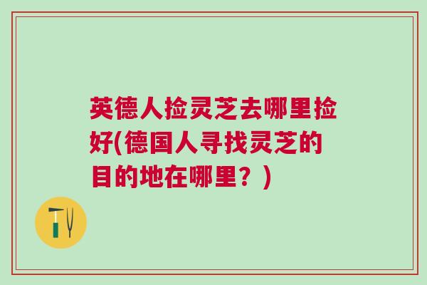 英德人捡灵芝去哪里捡好(德国人寻找灵芝的目的地在哪里？)