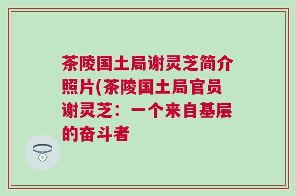 茶陵国土局谢灵芝简介照片(茶陵国土局官员谢灵芝：一个来自基层的奋斗者