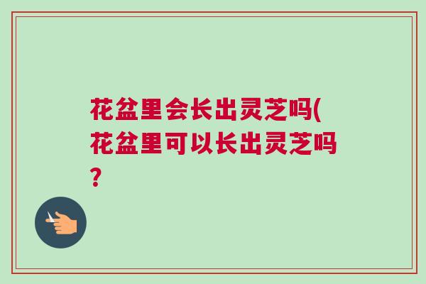 花盆里会长出灵芝吗(花盆里可以长出灵芝吗？